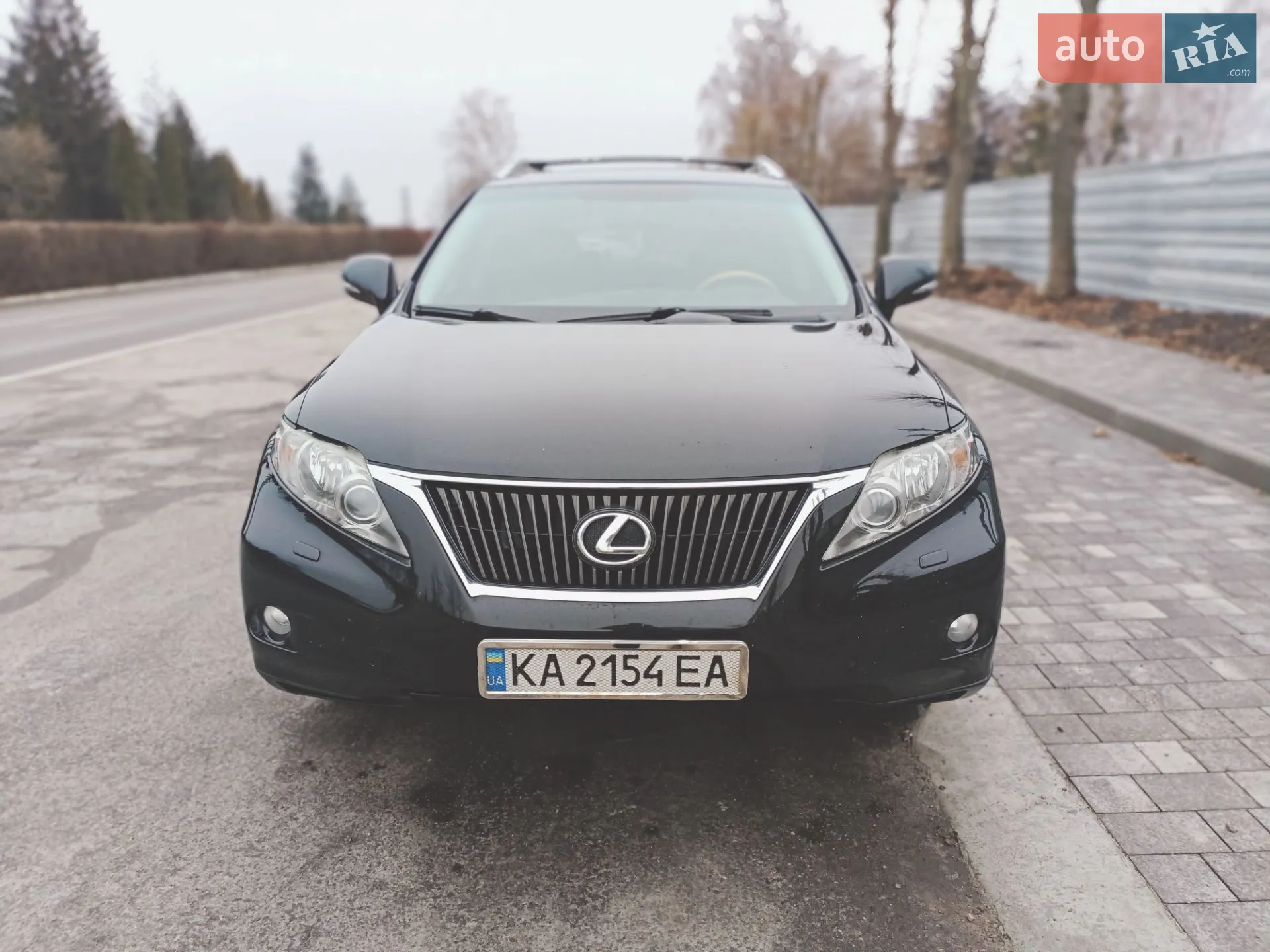 2010 Lexus RX - мініатюра 2
