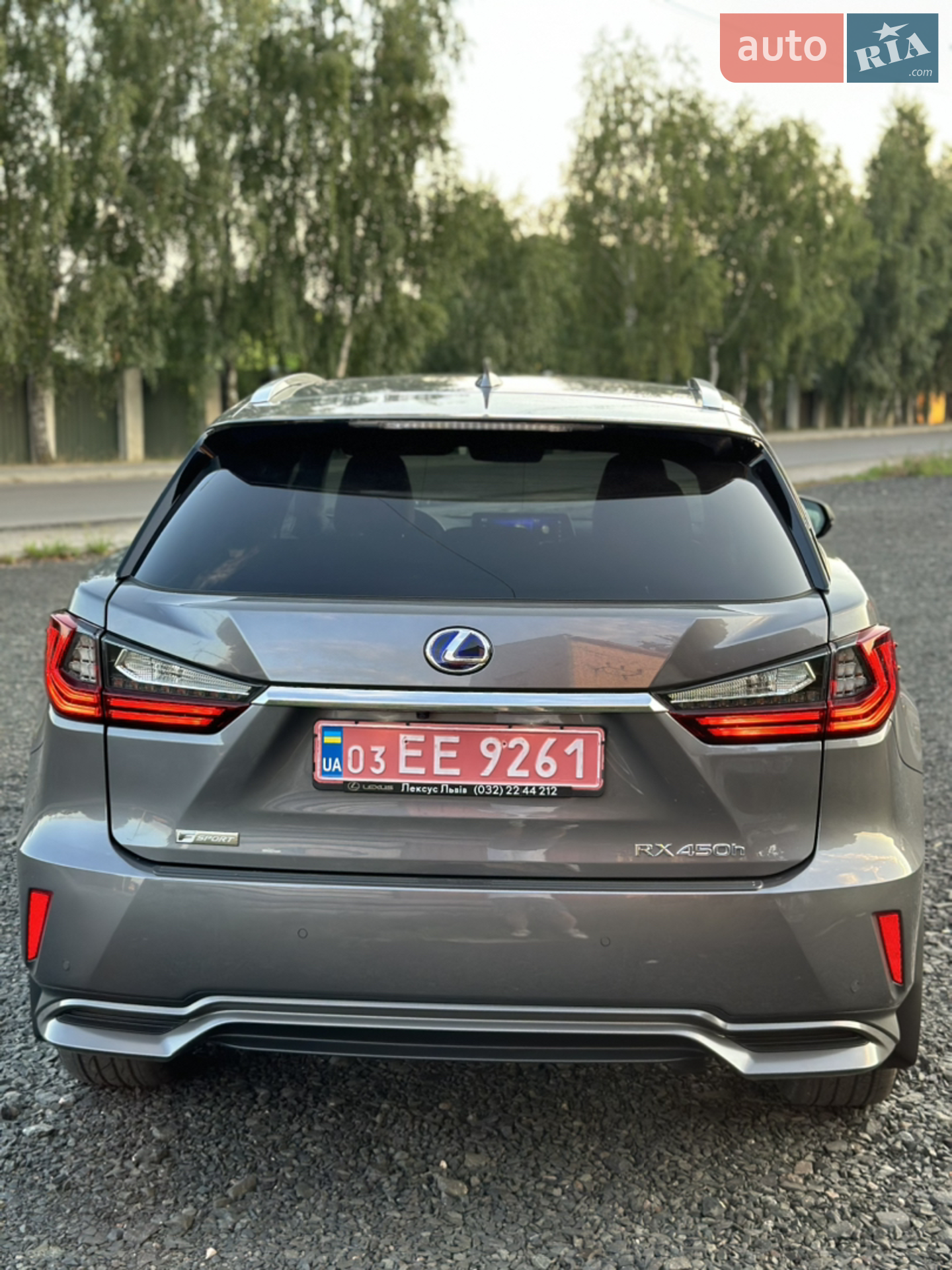 2019 Lexus RX - мініатюра 6