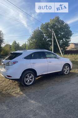 Внедорожник / Кроссовер Lexus RX 2010 в Черновцах