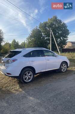 Внедорожник / Кроссовер Lexus RX 2010 в Черновцах