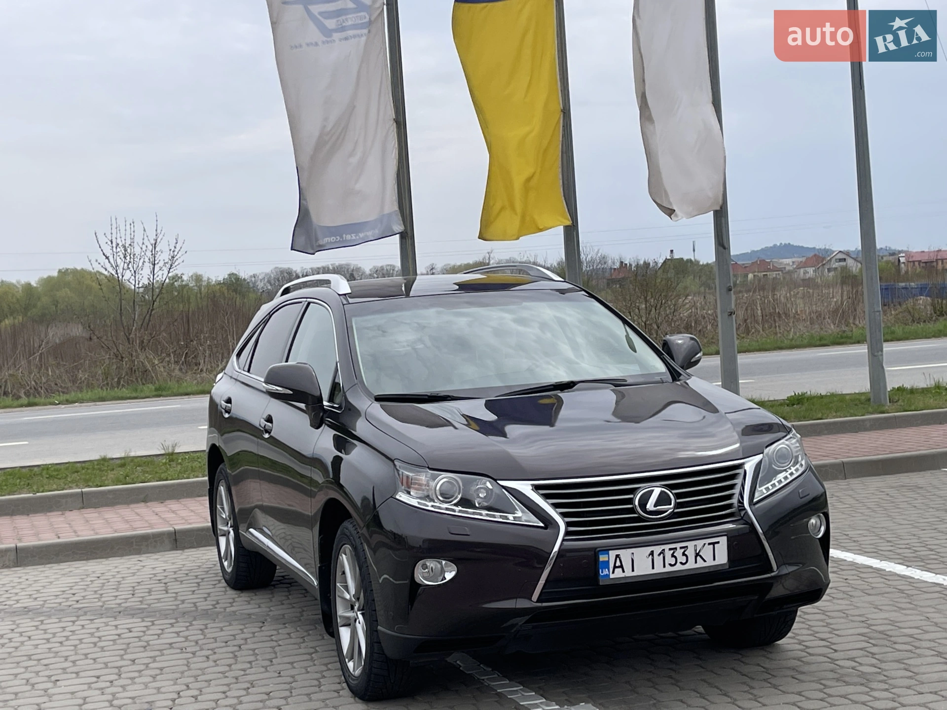 2013 Lexus RX - фото 1