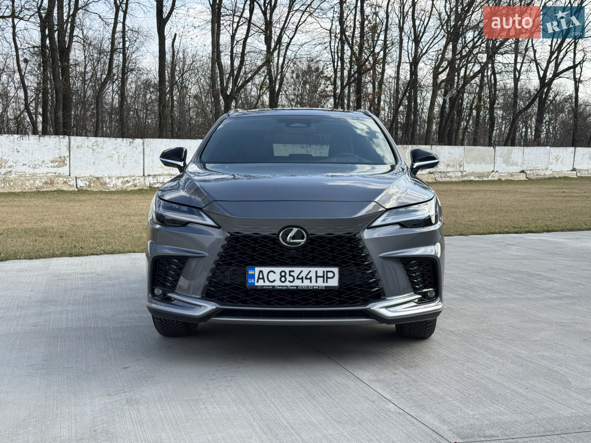 2023 Lexus RX - мініатюра 2