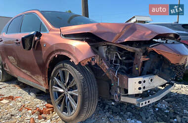 Позашляховик / Кросовер Lexus RX 2023 в Києві