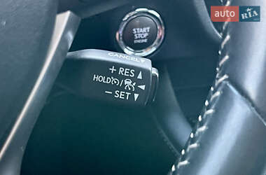 Внедорожник / Кроссовер Lexus RX 2019 в 