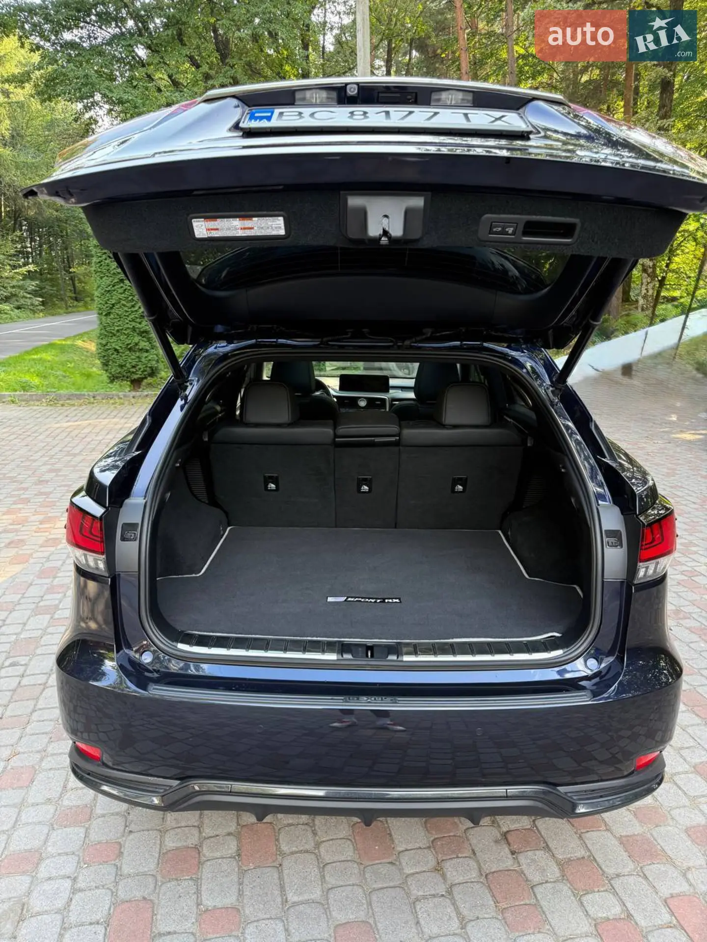 2021 Lexus RX - мініатюра 11