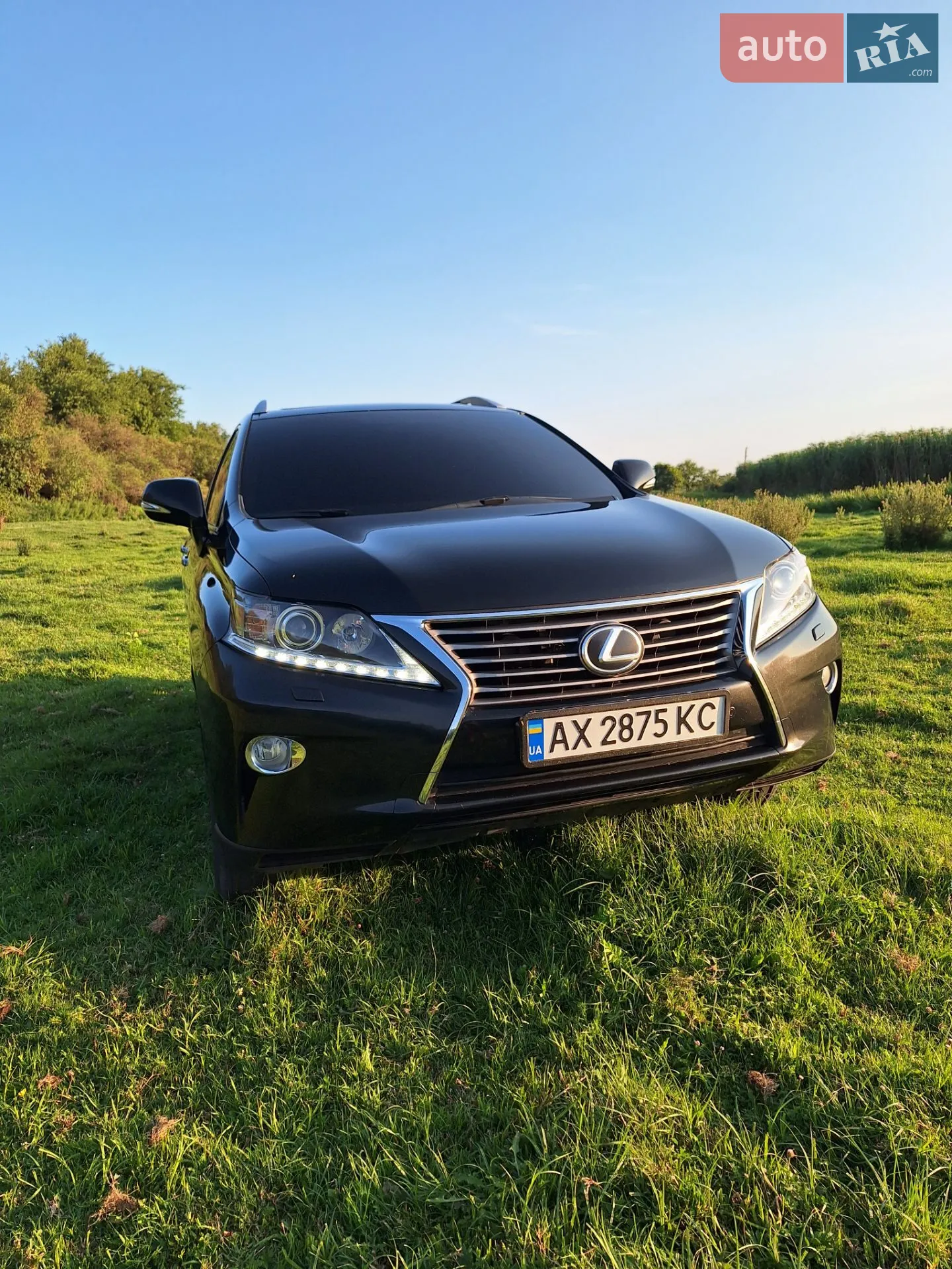 2013 Lexus RX - мініатюра 6