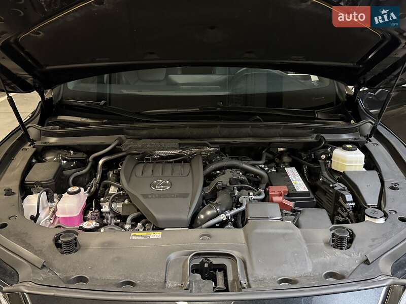 Позашляховик / Кросовер Lexus RX 2024 в Києві