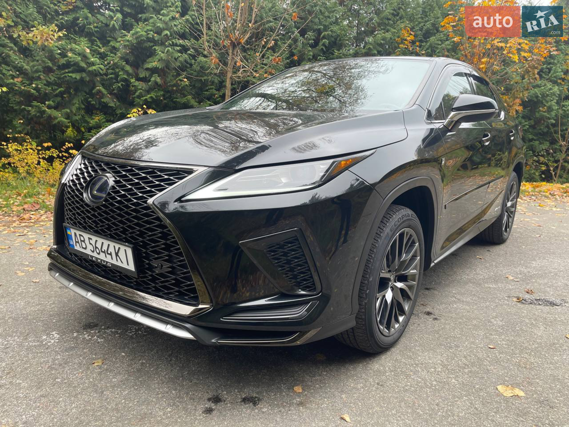 2020 Lexus RX - мініатюра 25
