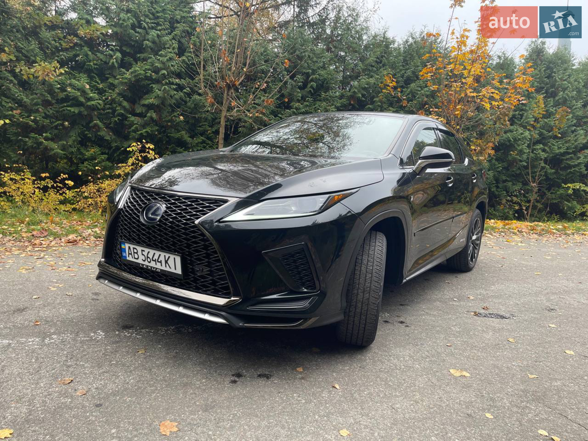 2020 Lexus RX - мініатюра 29