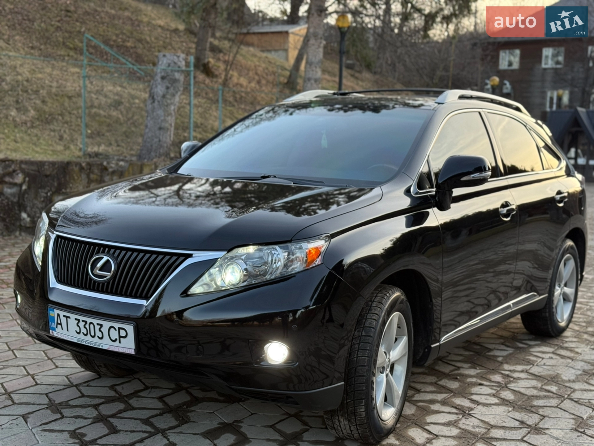 2010 Lexus RX - мініатюра 7