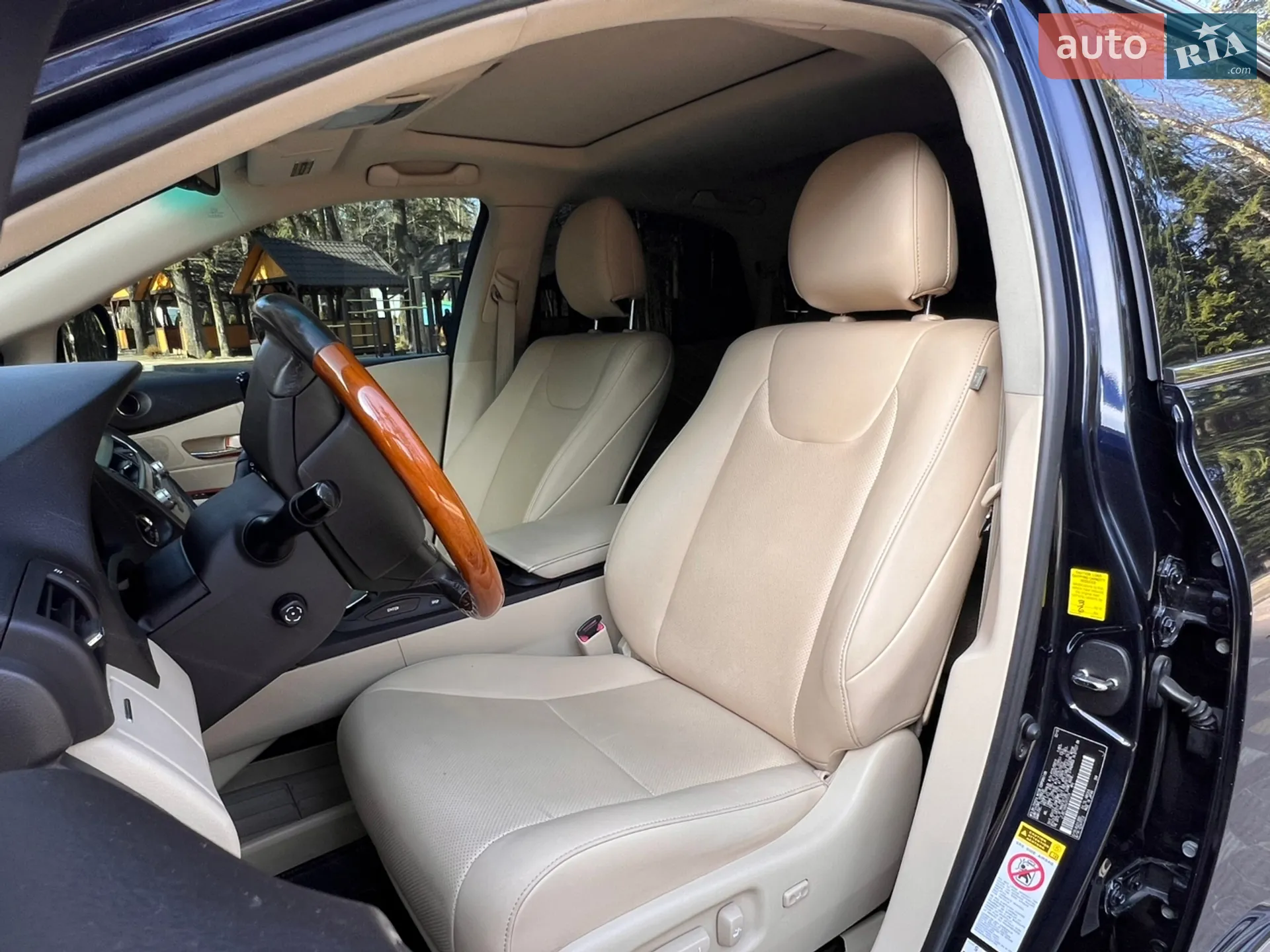 2010 Lexus RX - мініатюра 66
