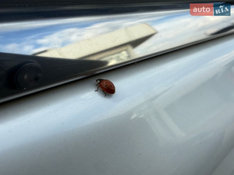 Позашляховик / Кросовер Lexus RX 2014 в Дніпрі фото 51 Позашляховик / Кросовер Lexus RX 2014 в Дніпрі