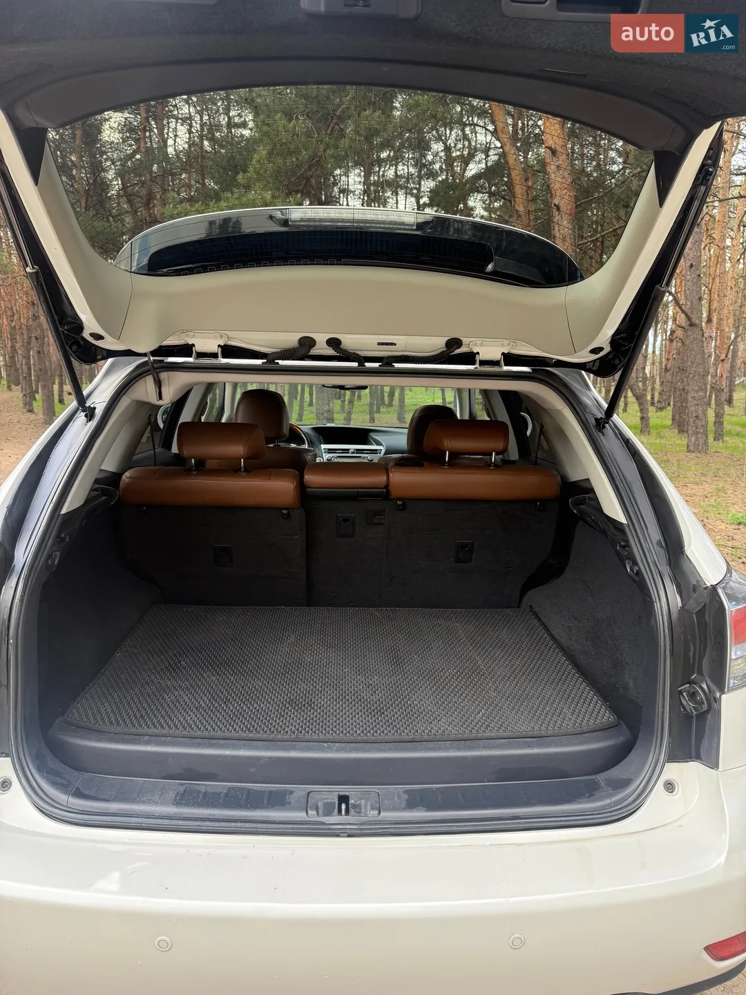 2012 Lexus RX - мініатюра 20