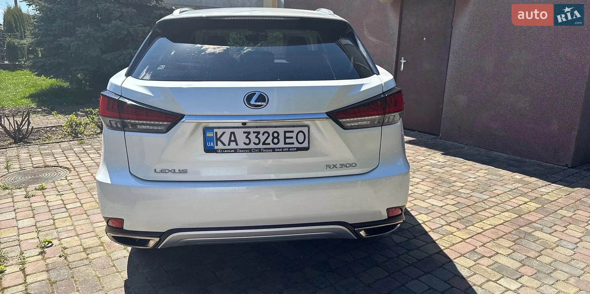 2021 Lexus RX - мініатюра 2