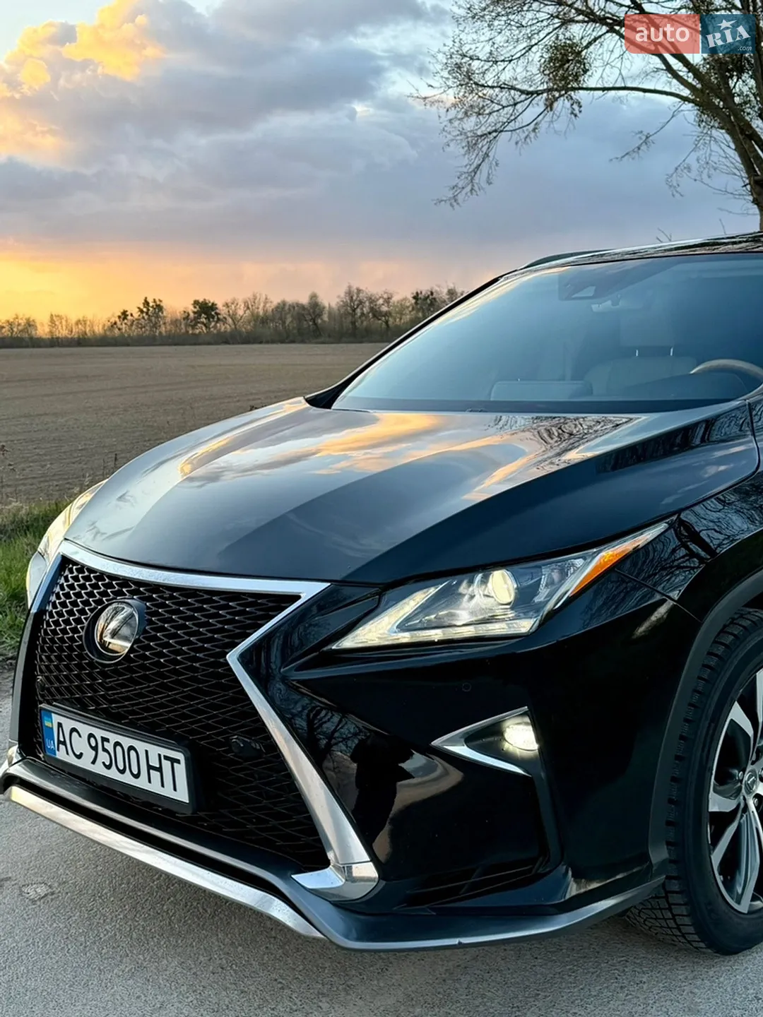 2015 Lexus RX - мініатюра 14