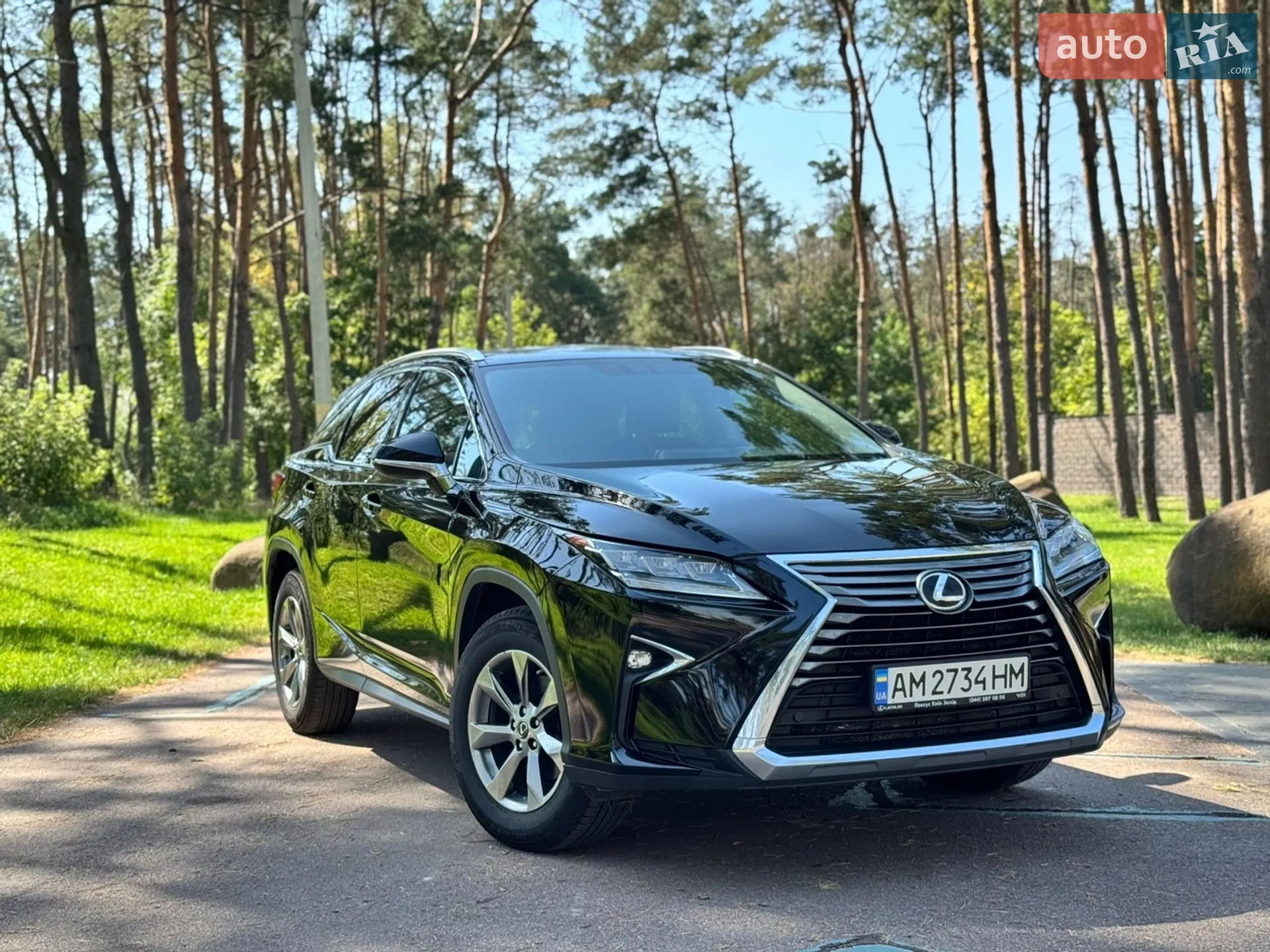 2019 Lexus RX - фото 1