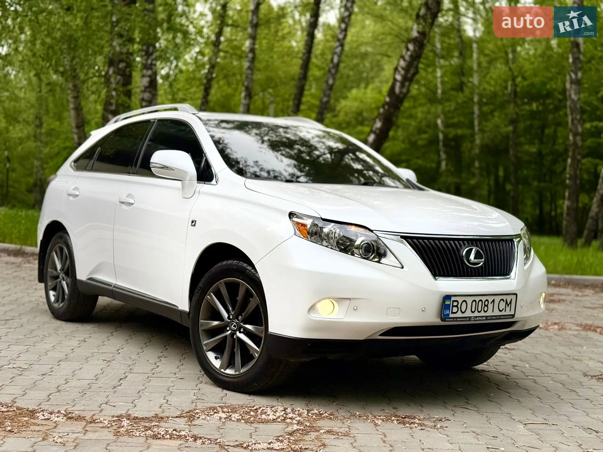 2010 Lexus RX - мініатюра 2