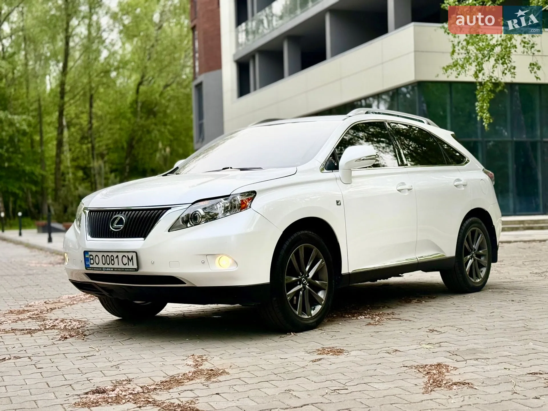 2010 Lexus RX - мініатюра 8