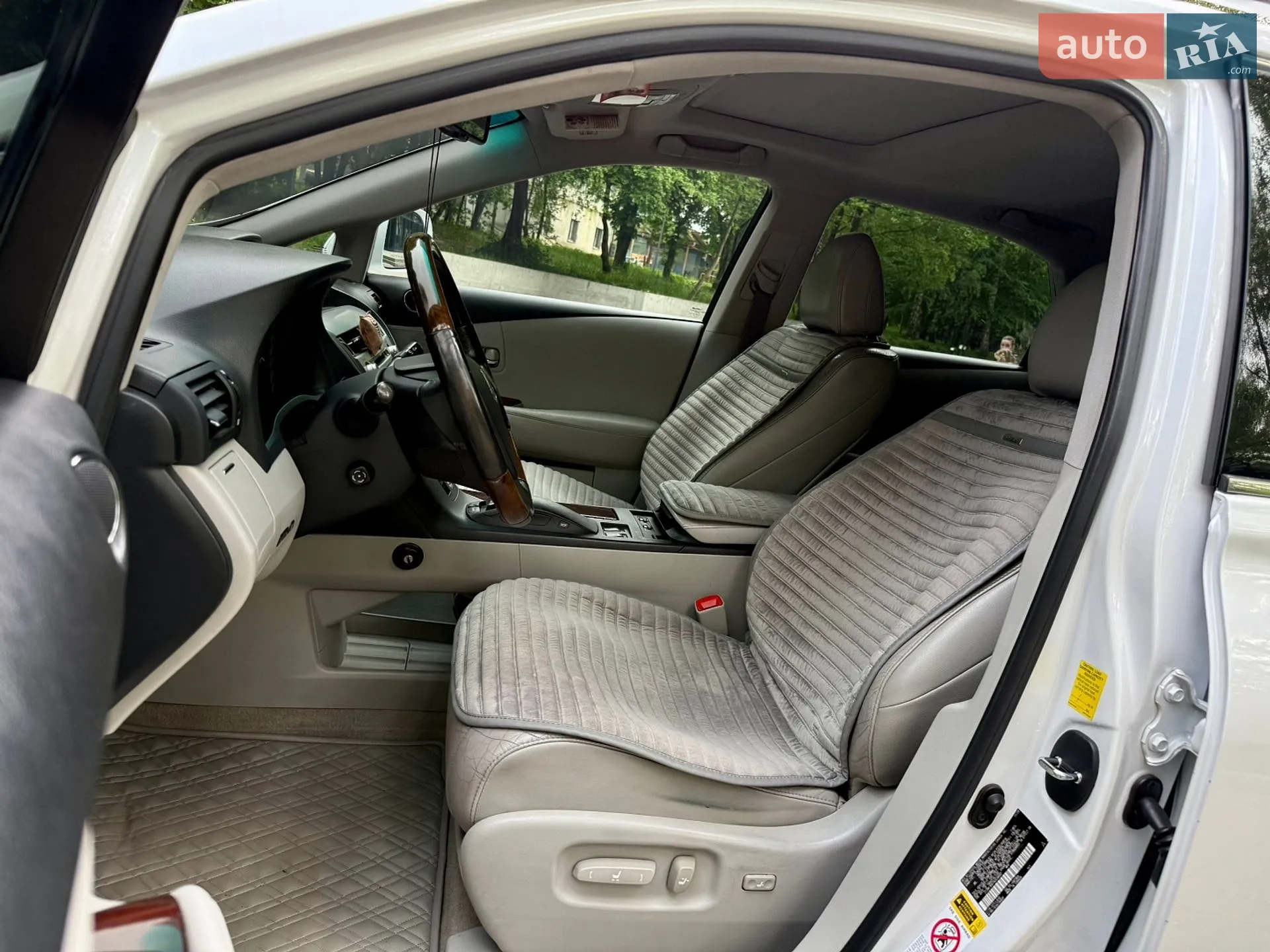 2010 Lexus RX - мініатюра 38
