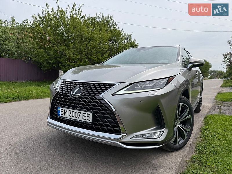 2021 Lexus RX, VIN JTJBAMCA502142010:plate — фото 1 (autoria)
