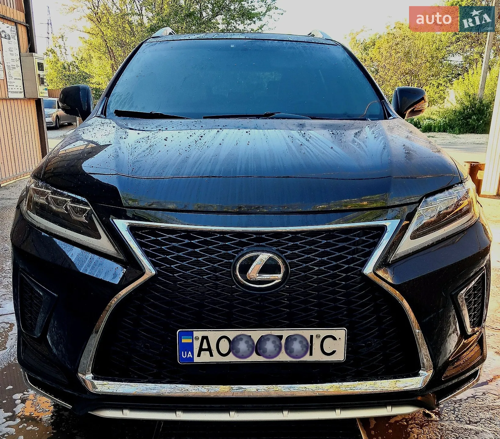 2010 Lexus RX - мініатюра 10