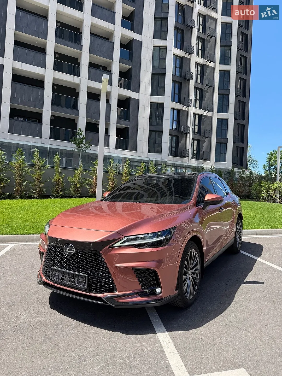 2024 Lexus RX - мініатюра 2
