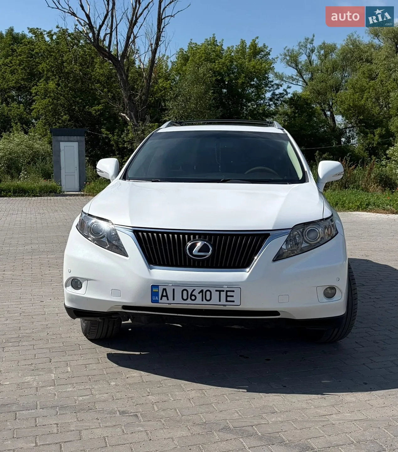 2010 Lexus RX - мініатюра 2