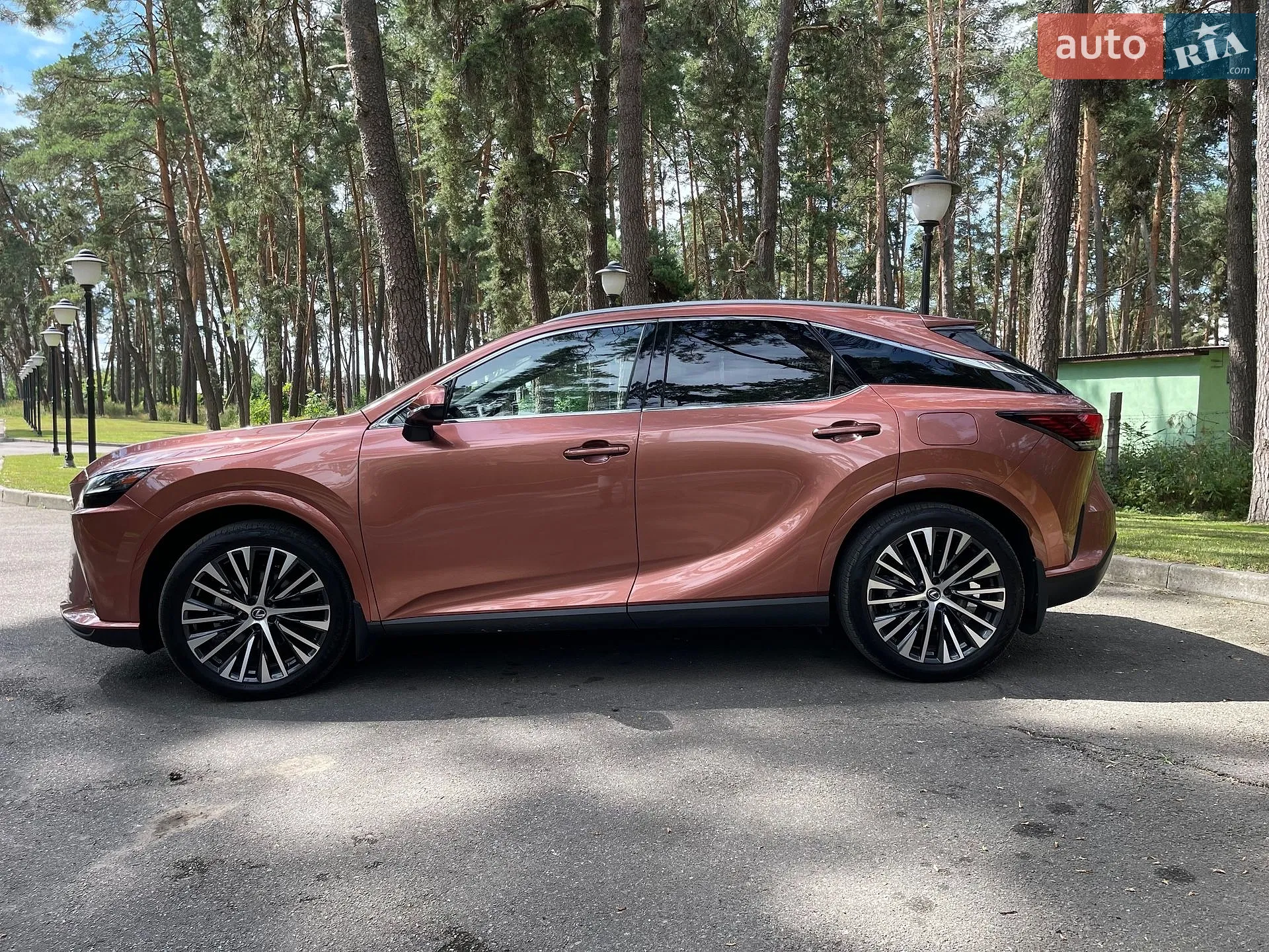 2024 Lexus RX - мініатюра 26