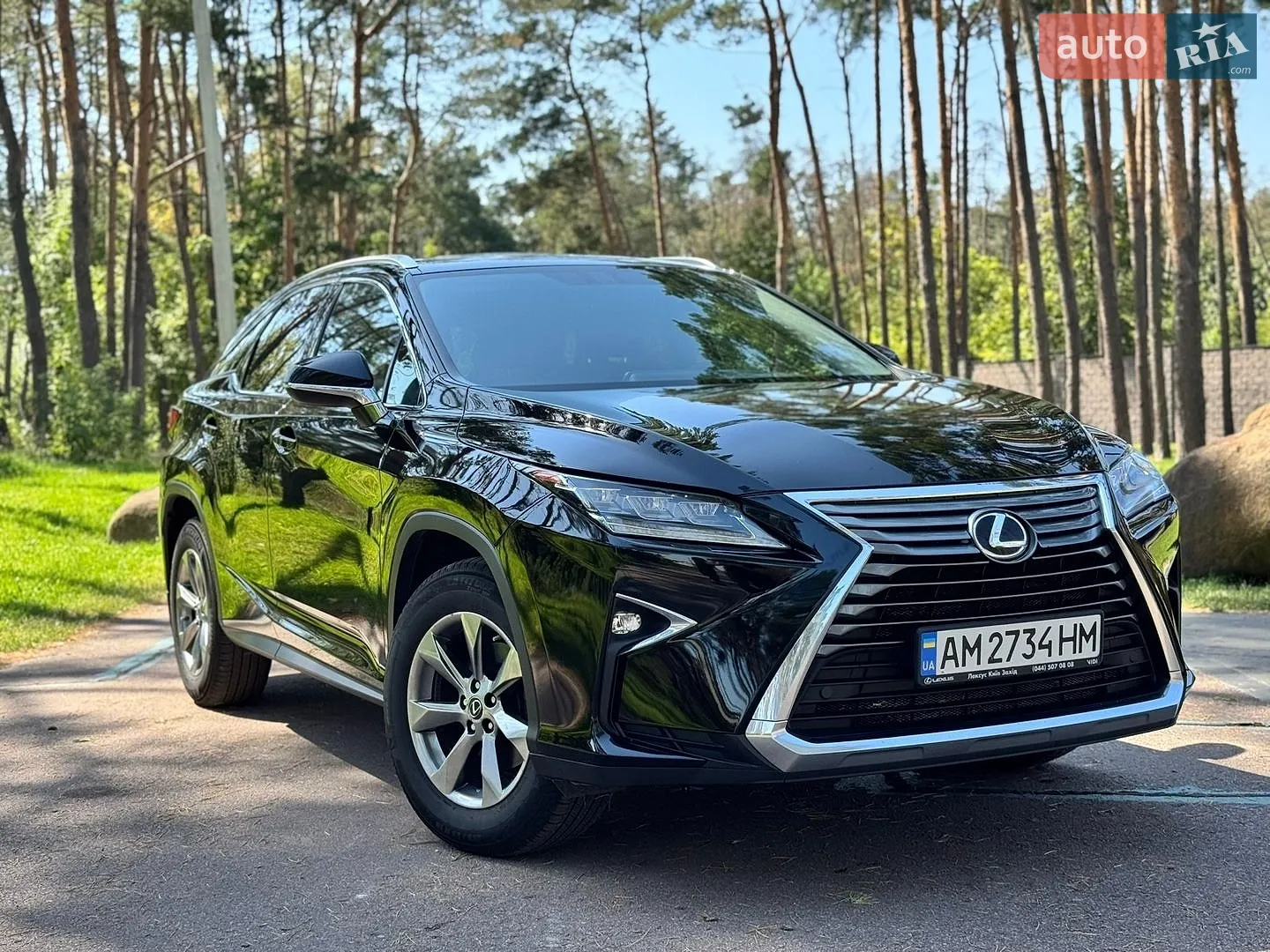 2019 Lexus RX - фото 1