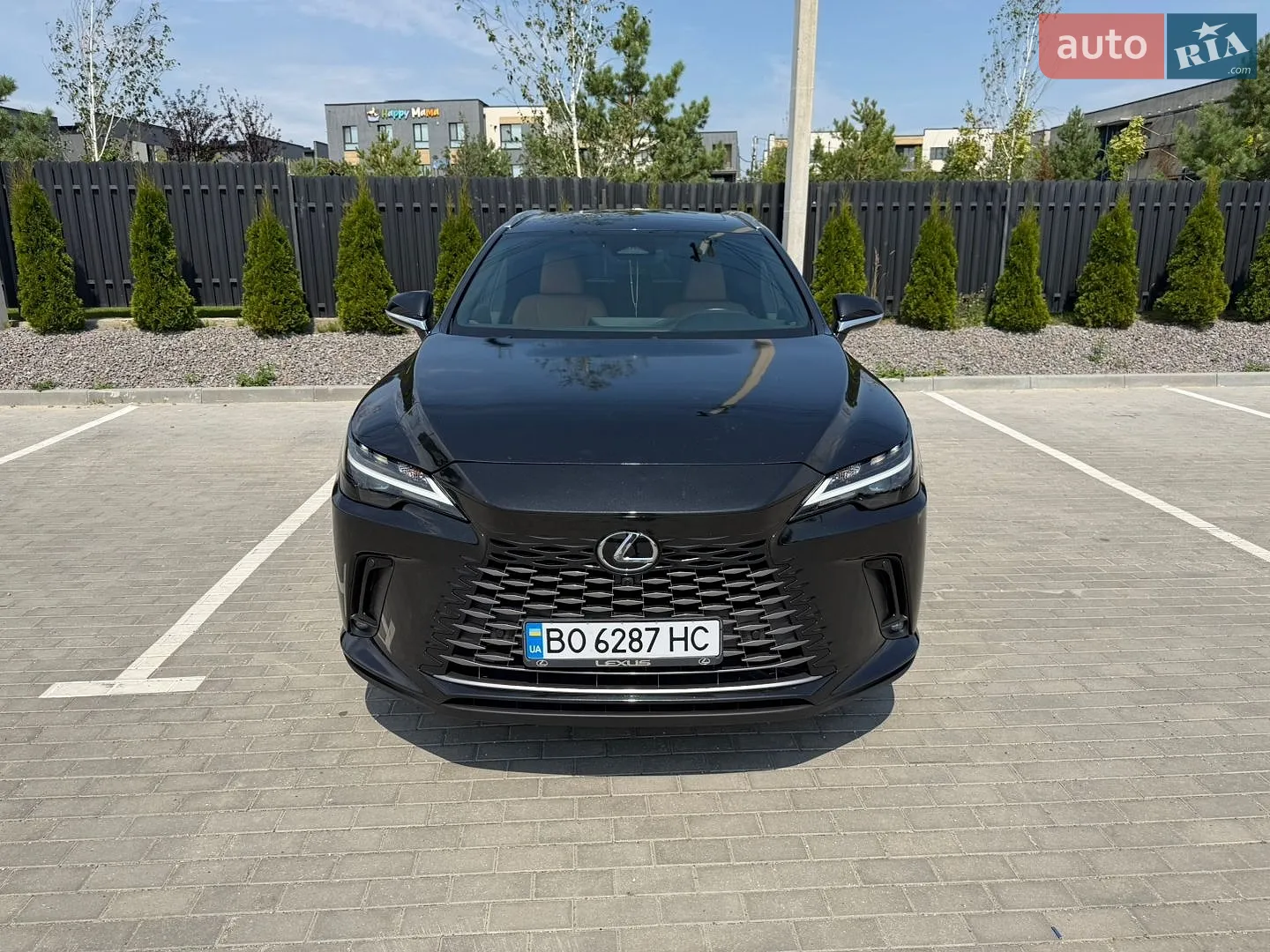 2024 Lexus RX - мініатюра 2