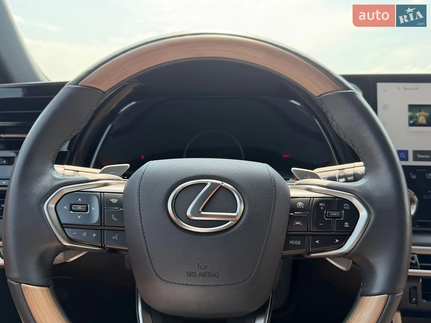 2024 Lexus RX - мініатюра 61