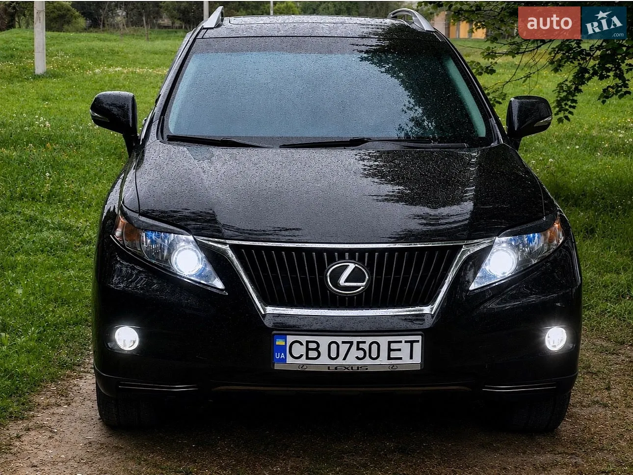 2010 Lexus RX - мініатюра 7