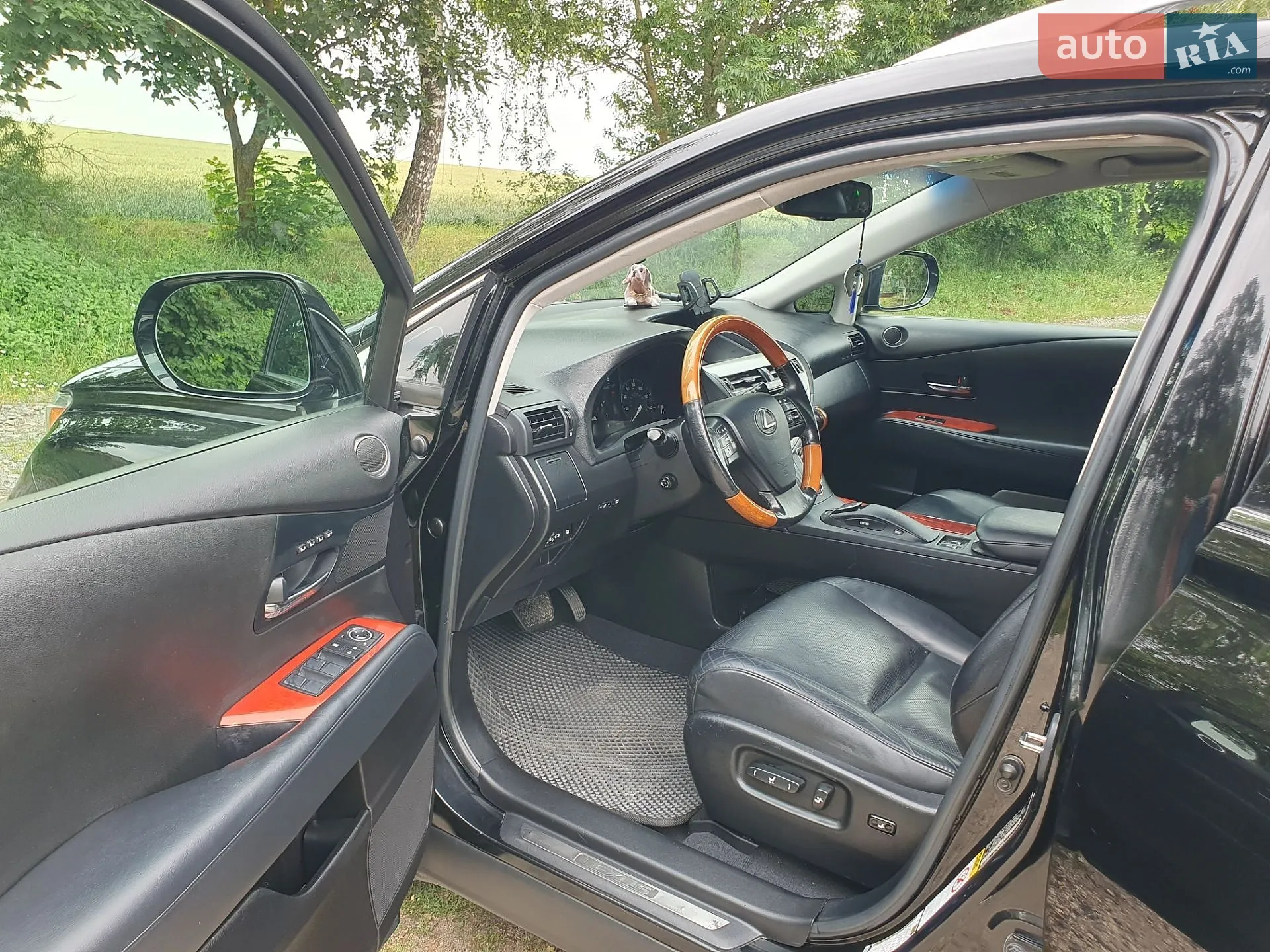 2010 Lexus RX - мініатюра 10