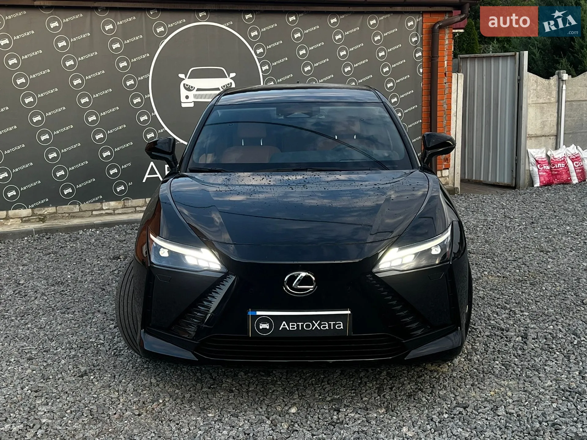2024 Lexus RZ - мініатюра 3