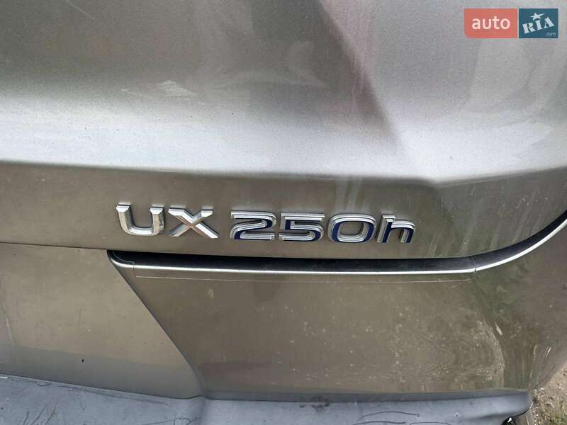 Позашляховик / Кросовер Lexus UX 2018 в Одесі фото 9 Позашляховик / Кросовер Lexus UX 2018 в Одесі