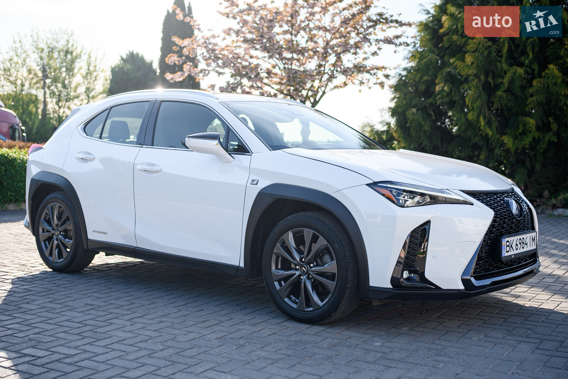 2019 Lexus UX - мініатюра 12