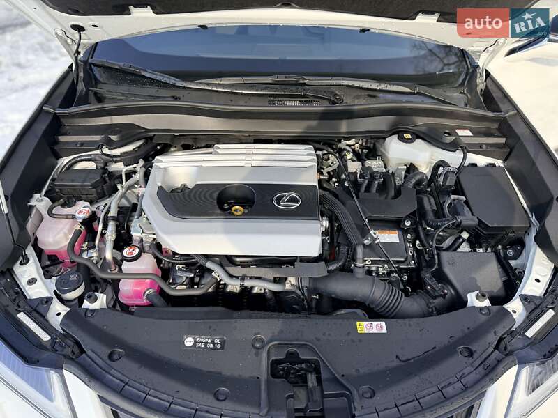 Позашляховик / Кросовер Lexus UX 2022 в Києві