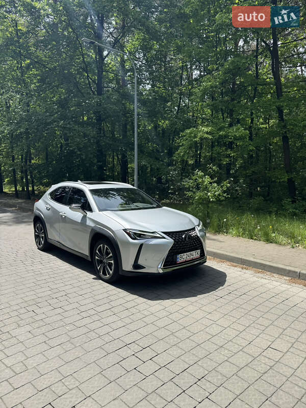 2020 Lexus UX 200, VIN JTHX3JBH6L2024812:plate — photo 1 (autoria)