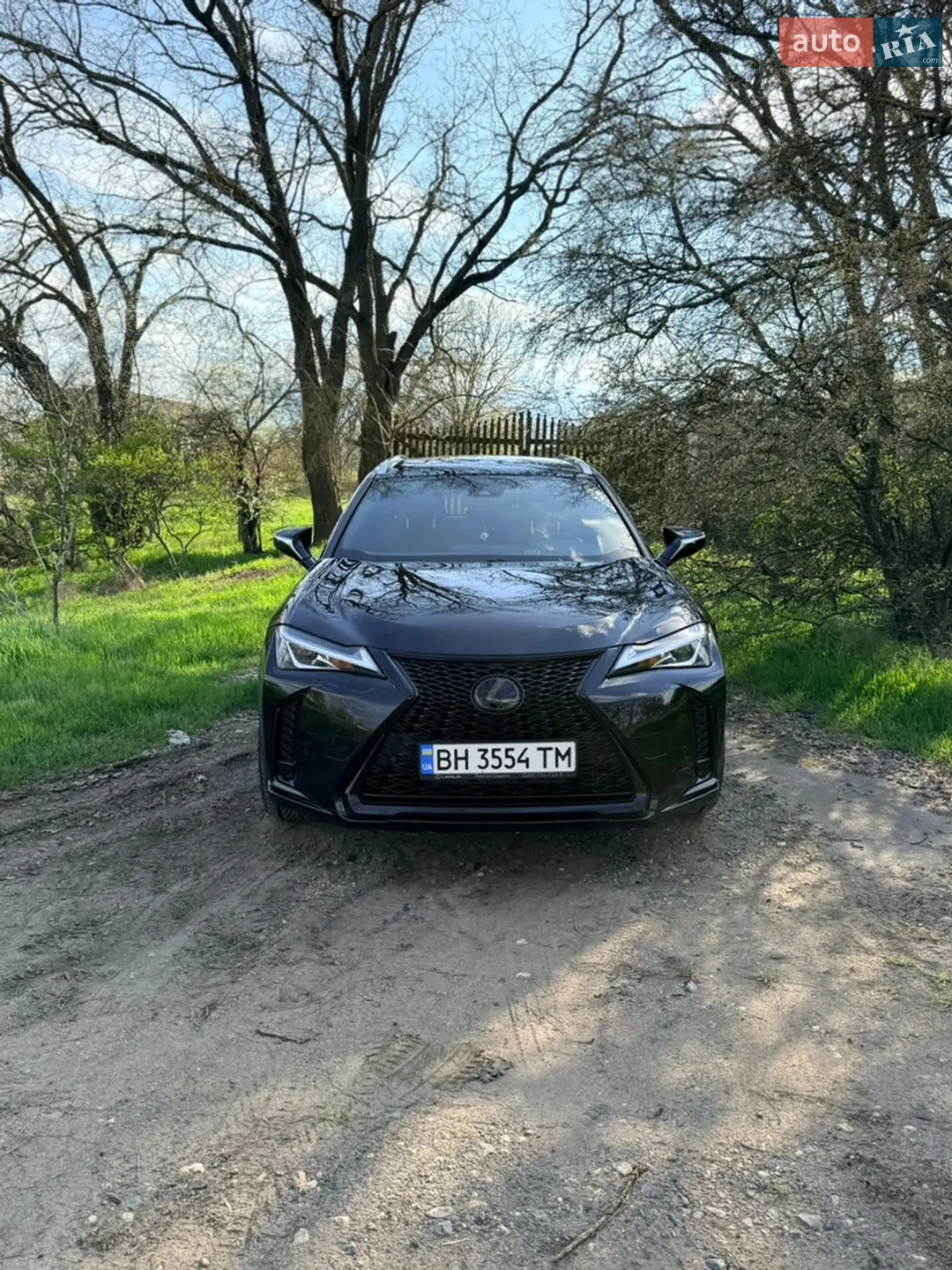 2018 Lexus UX - мініатюра 9