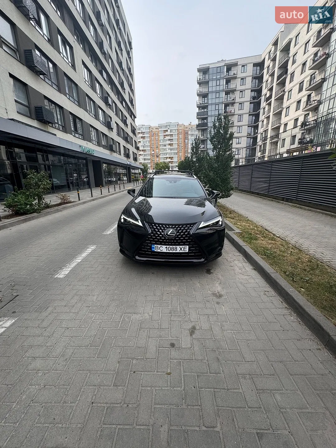 2023 Lexus UX - мініатюра 2