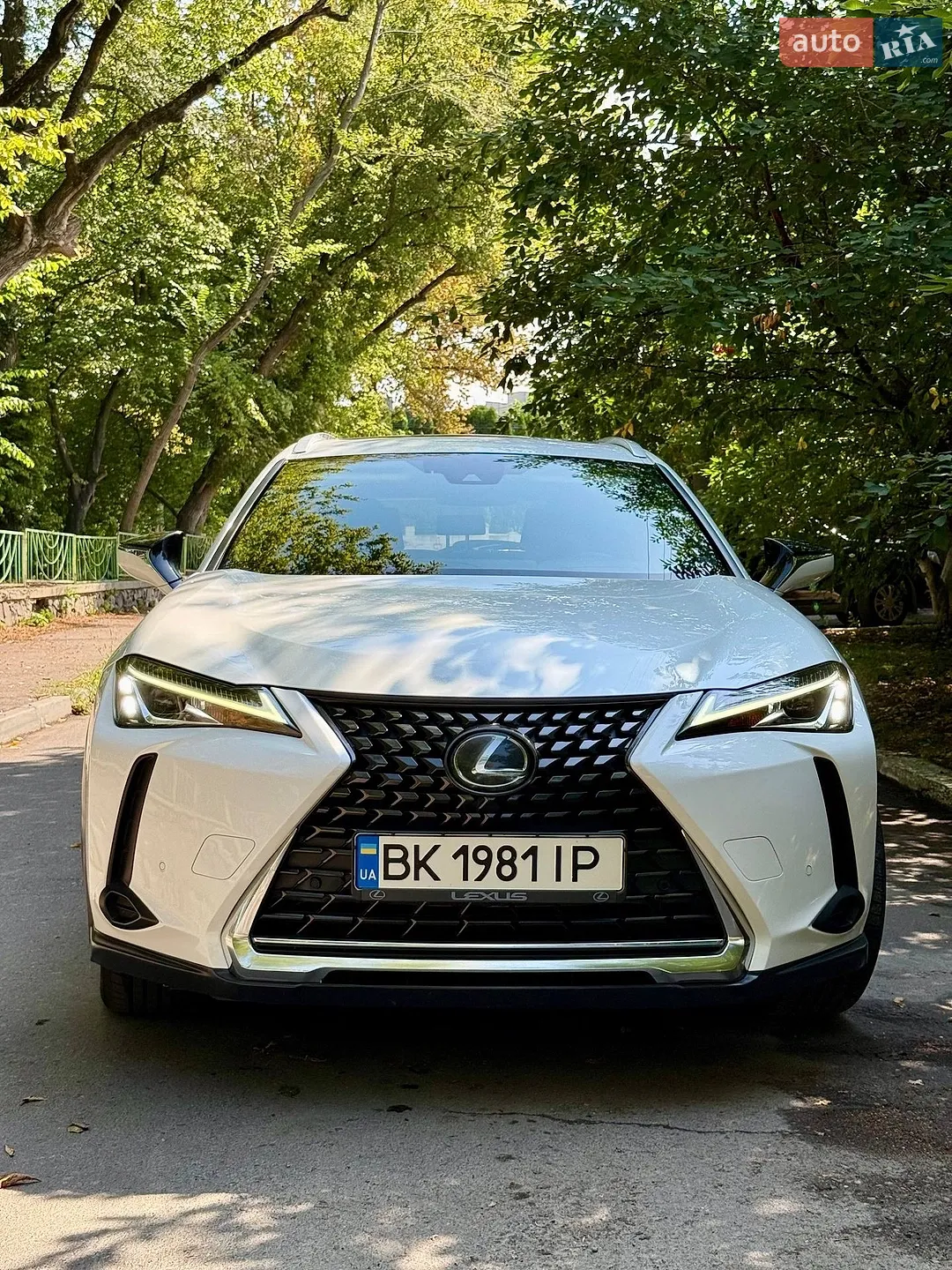 2019 Lexus UX - фото 1