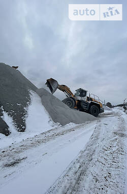 Фронтальный погрузчик Liebherr L 566 2014 в Золотоноше