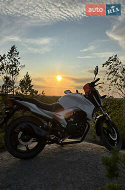 Мотоцикл Многоцелевой (All-round) Lifan KP 200 2025 в Олевске