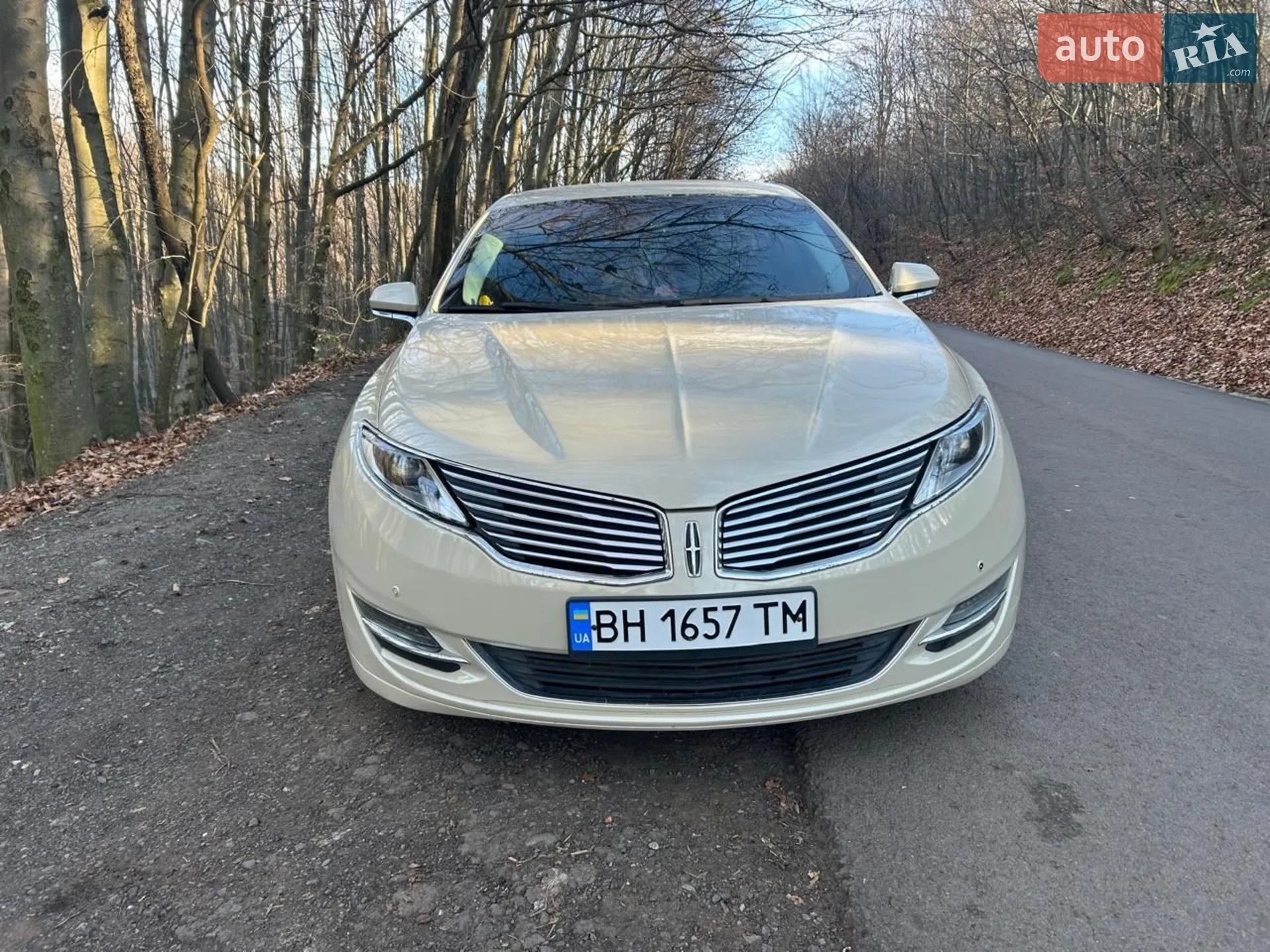 2014 Lincoln MKZ - мініатюра 4