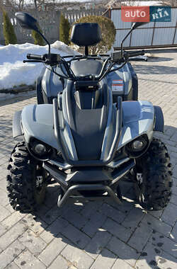 Квадроцикл  утилитарный Linhai YAMAHA Z210 EFI 2024 в Виннице