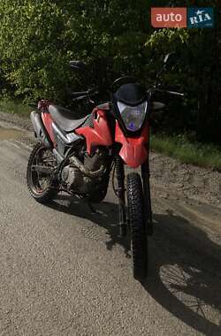 Грузовые мотороллеры, мотоциклы, скутеры, мопеды Loncin LX 200-GY3 2018 в 