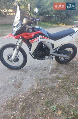 Мотоцикл Многоцелевой (All-round) Loncin LX 250-12C 2021 в 