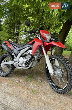 Мотоцикл Кросс Loncin  LX300GY-A DS2 Pro 2019 в Рівному