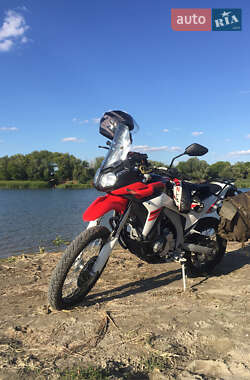 Мотоцикл Позашляховий (Enduro) Loncin  LX300GY-A DS2 Pro 2019 в 