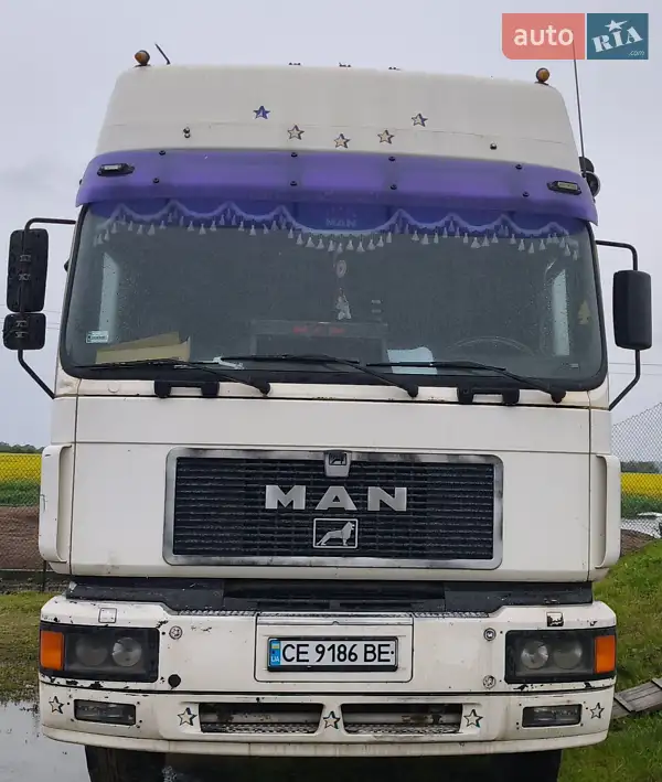 Другая строительная техника MAN FE 310 2001 в 